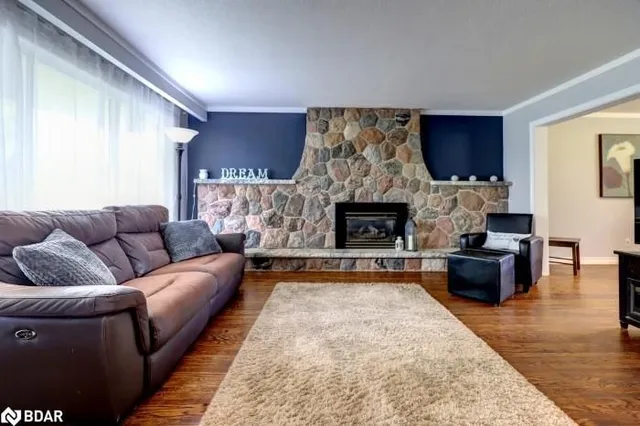 Additional image 9 of 46 Bartley Bull Pky