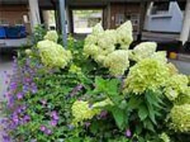 Additional image 25 of 1 Massey Sq Unit 2015