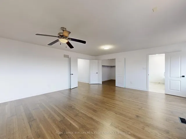 Additional image 17 of 6786 Kazoo Crt