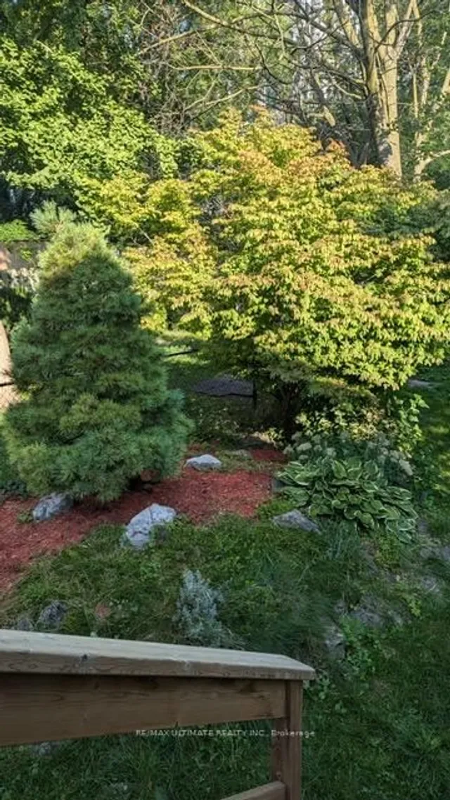 Additional image 49 of 248 Hillsdale Ave