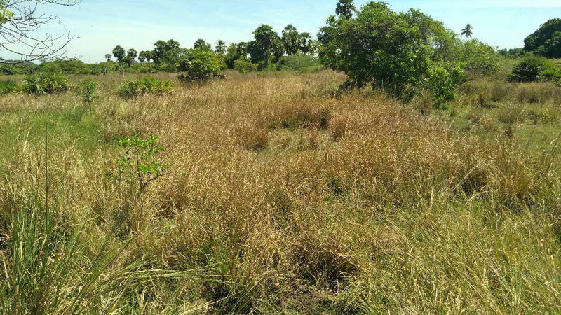 Additional image 3 of Kadapakkam, Chennai