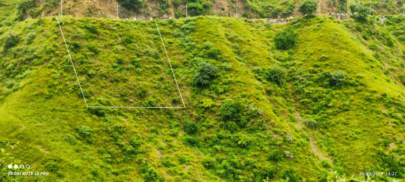 Additional image 2 of Naldehra, Shimla