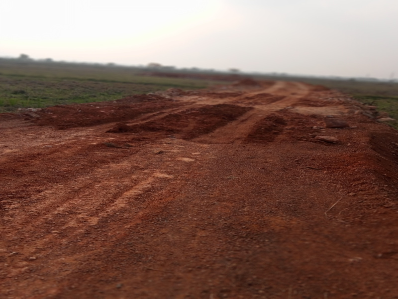 Additional image 3 of Patrapada, Bhubaneswar