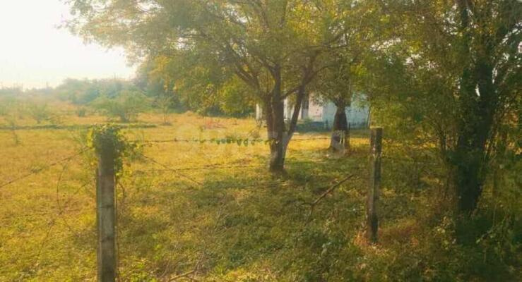 Additional image 3 of Miyagam Karjan, Vadodara