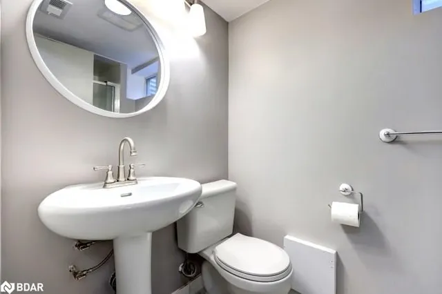 Additional image 33 of 46 Bartley Bull Pky