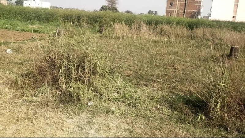 Additional image 2 of Masaurhi, Patna