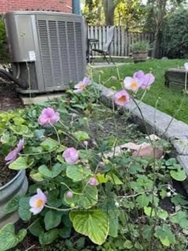 Additional image 46 of 405 Glasgow St Unit 6