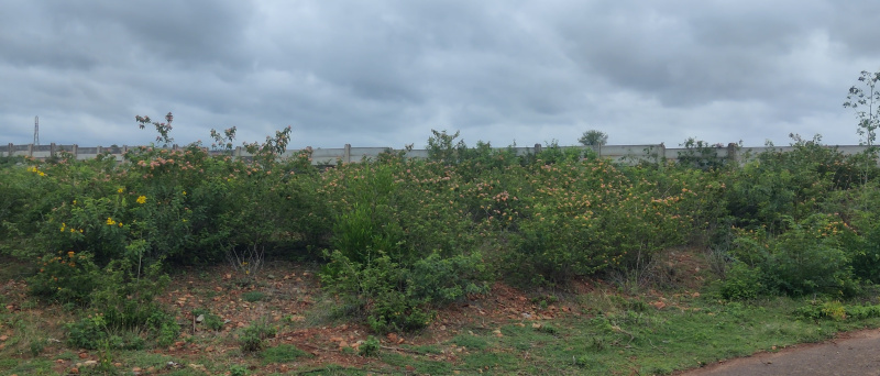 Additional image 2 of Abhiramapuram, Chennai