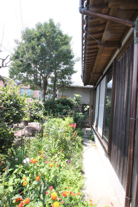 Additional image 2 of 445 Misohirayama, Ainancho, Minamiuwa-gun, Ehime Prefecture