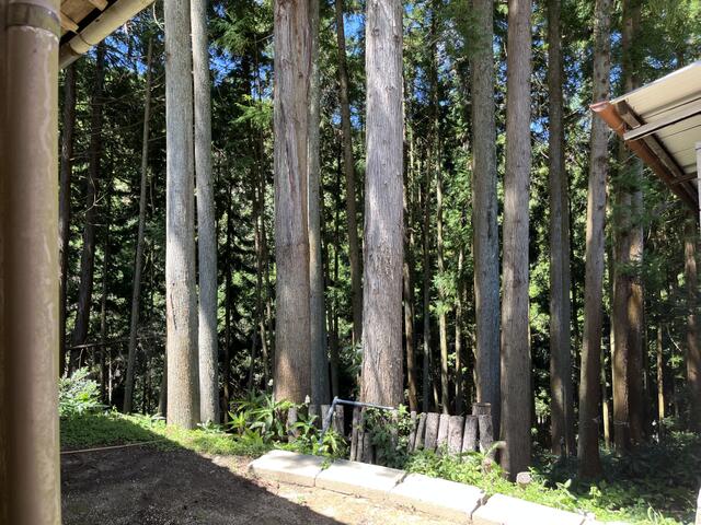 Additional image 15 of Osaka Prefecture Minamikawachi District Chihayaakasaka Village Kobuki