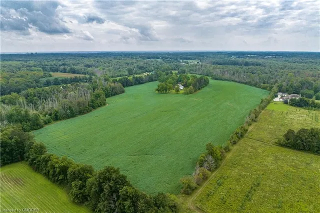 Additional image 17 of 5163 Milburough Line