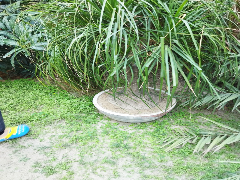 Additional image 3 of Pakhowal Road, Ludhiana