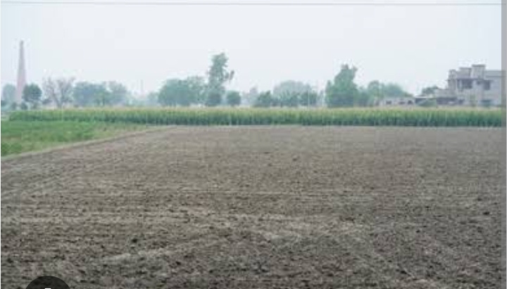 Thirunallar, Karaikal, Pondicherry