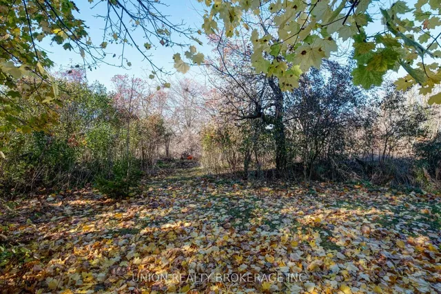 Additional image 37 of 54 Oakridge Dr