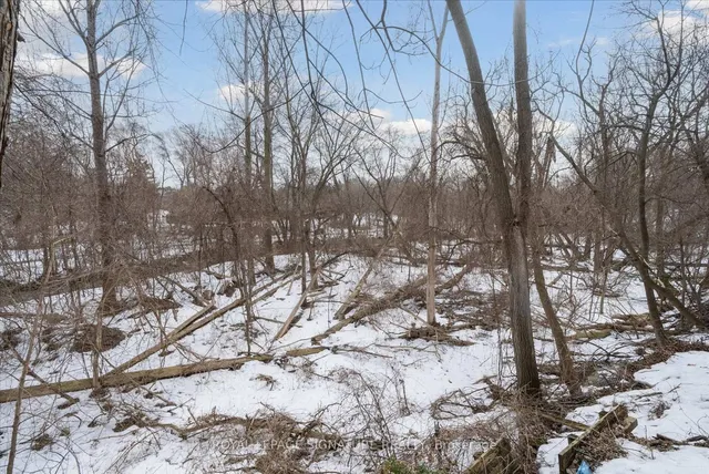 Additional image 34 of 283 Birkdale Rd