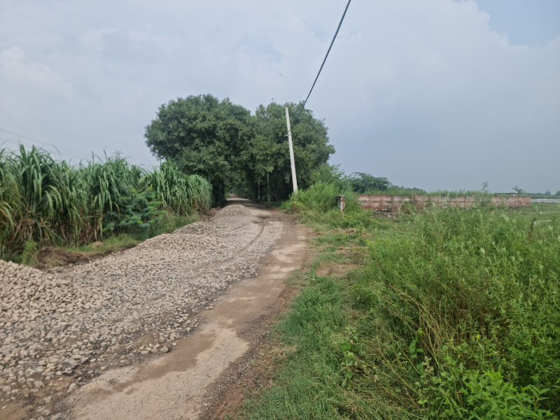 Additional image 2 of Barwala, Panchkula