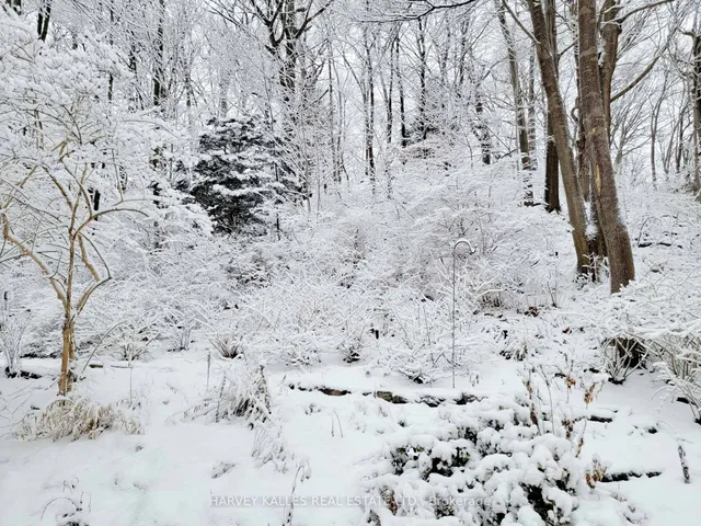 Additional image 49 of 42 Brookfield Rd