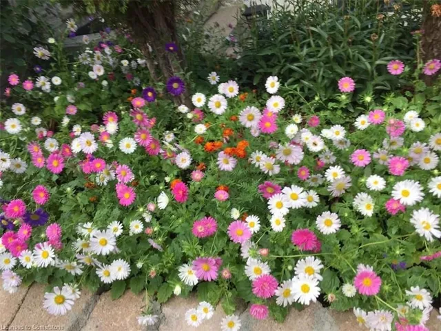 Additional image 37 of 610 Barton St Unit 16