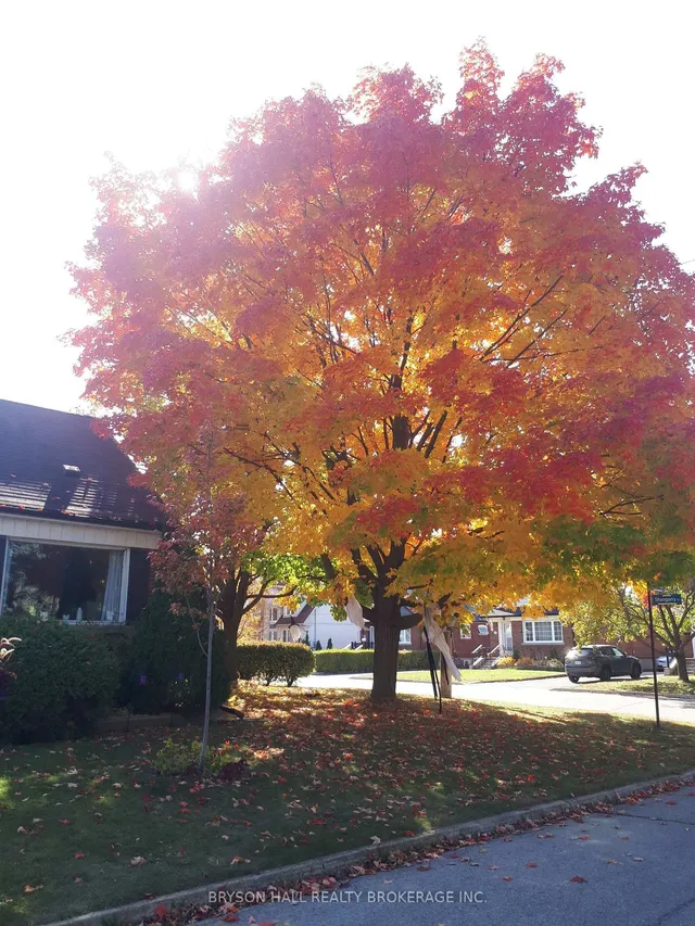 Additional image 6 of 15 Shangarry Dr