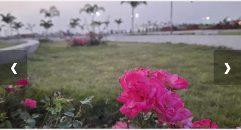 Additional image 2 of Sejbahar, Raipur