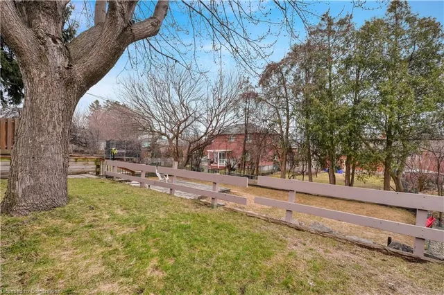 Additional image 38 of 563 Guelph St