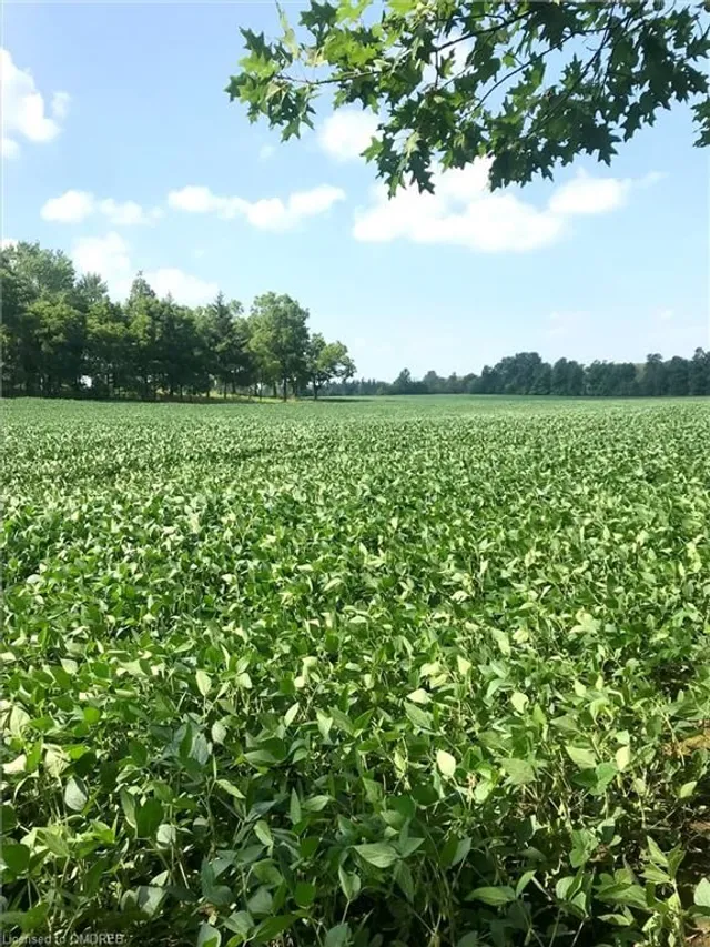 Additional image 7 of 5163 Milburough Line