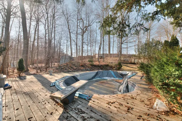 Additional image 31 of 223 Southwood Dr