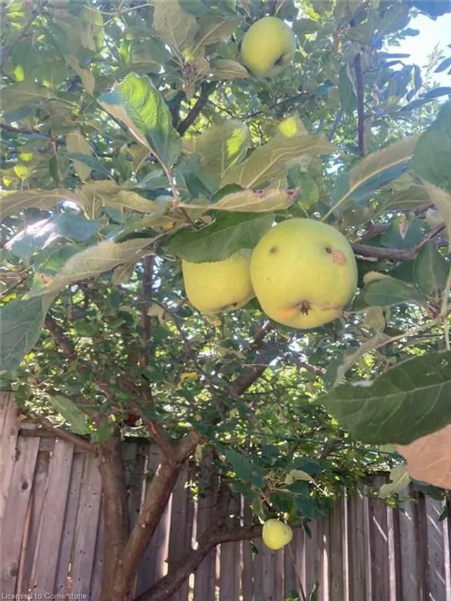 Additional image 36 of 610 Barton St Unit 16