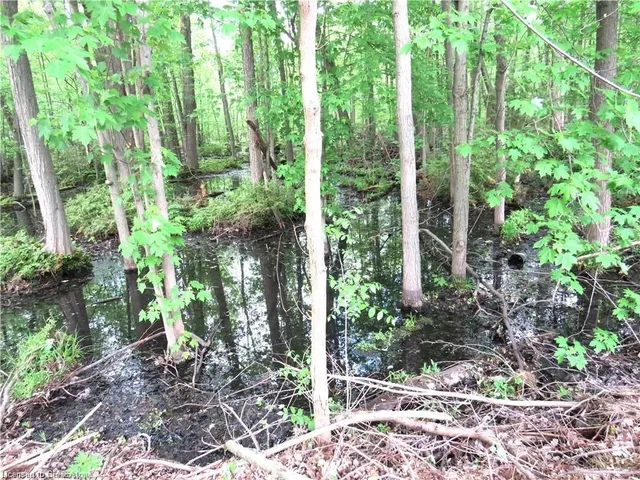 Additional image 45 of 107 Rodeo Rd