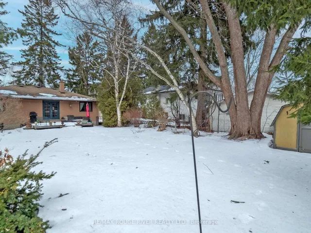 Additional image 5 of 235 Island Rd