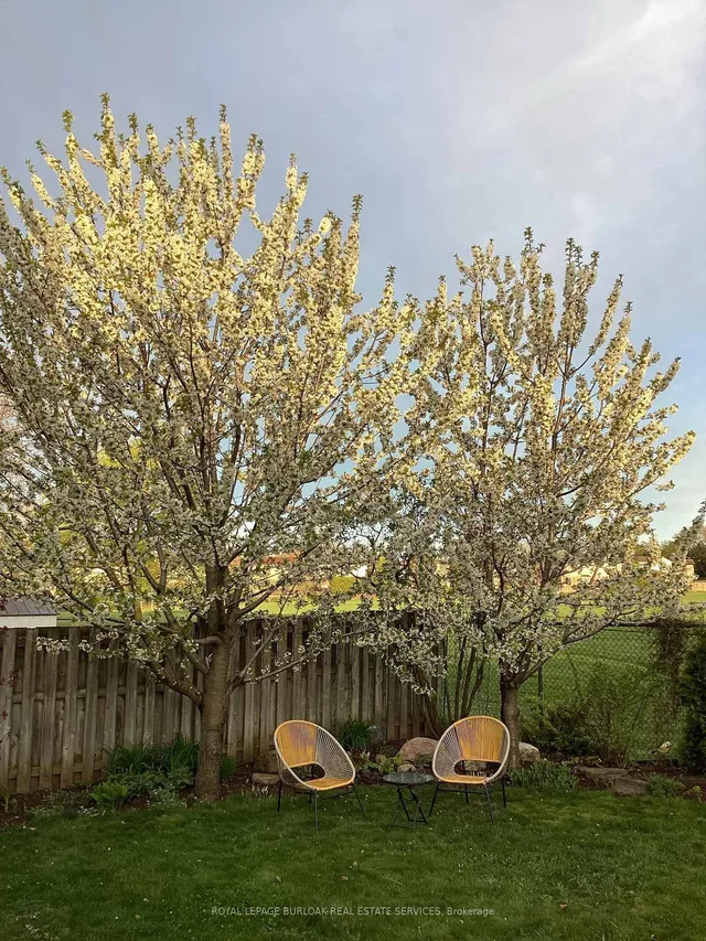 Additional image 38 of 3361 Palmer Dr