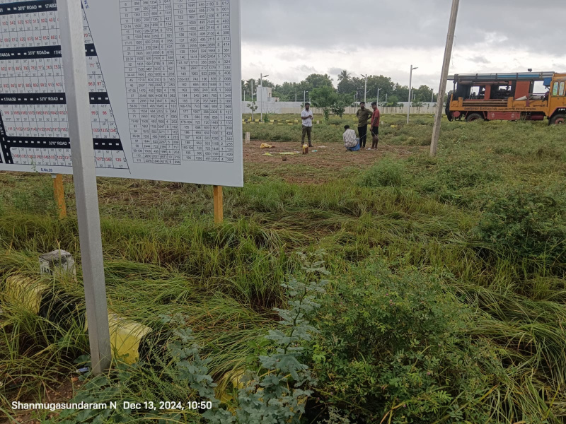 Additional image 2 of Panangadi, Madurai