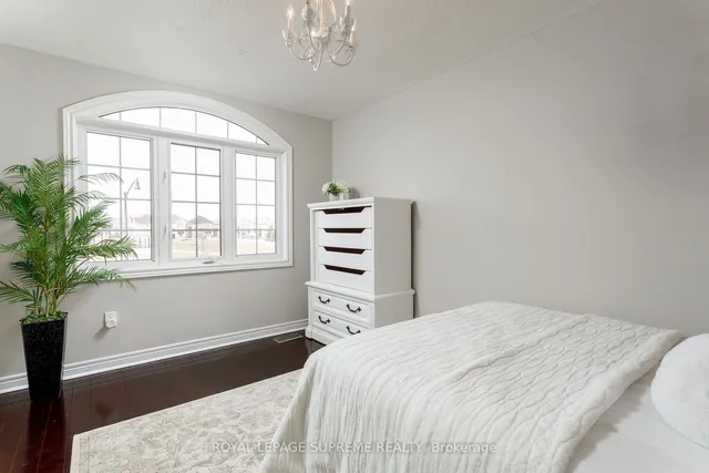 Additional image 34 of 90 Lightcatcher Circ