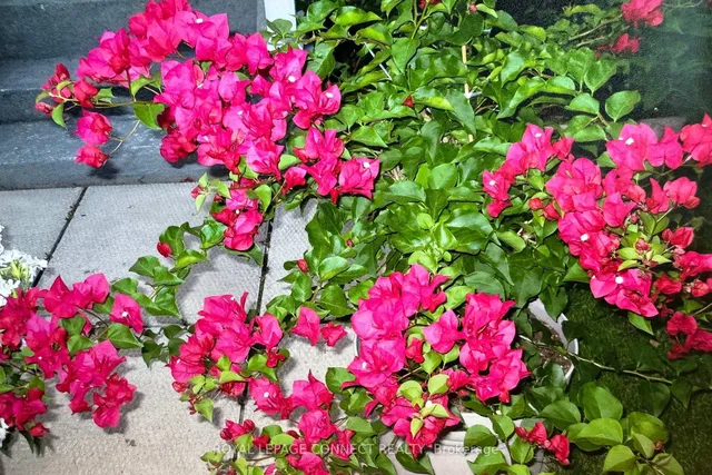 Additional image 44 of 688 Brimorton Dr