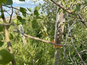 Additional image 4 of Lot 2 Rd 49 N