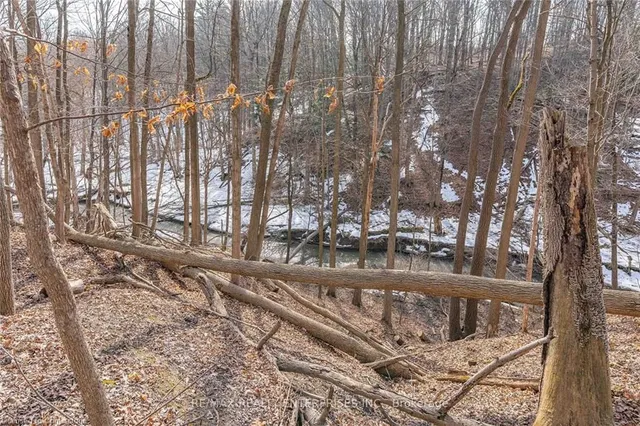 Additional image 40 of 75 Robinhood Dr