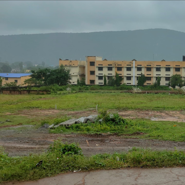 Additional image 3 of Mango, Jamshedpur