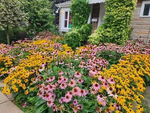 Additional image 37 of 119 East 17th St