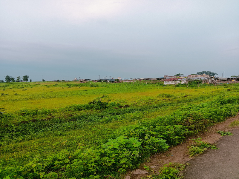 Additional image 3 of Katol, Nagpur