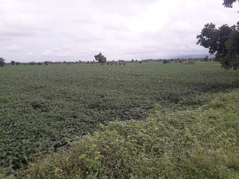 Additional image 3 of Fanda, Bhopal