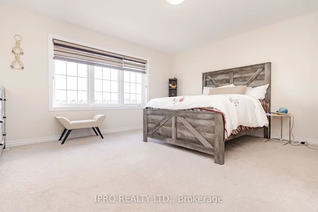 Additional image 18 of 16 Action Dr