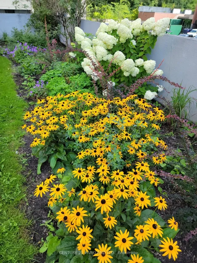 Additional image 26 of 1 Massey Sq Unit 2015