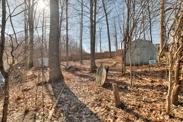 Additional image 40 of 223 Southwood Dr