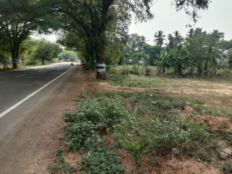 Additional image 3 of Usilampatti, Madurai