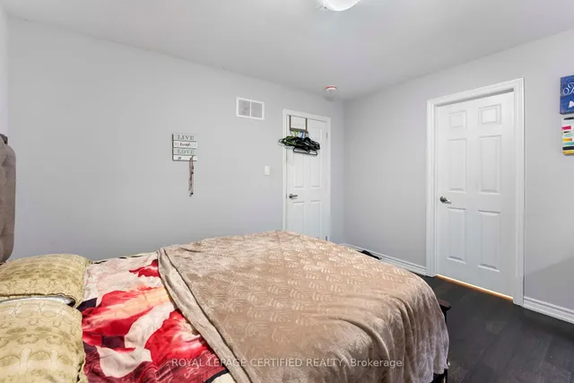 Additional image 19 of 84 Iceland Poppy Tr