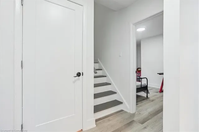 Additional image 19 of 6 Sylvia Ave