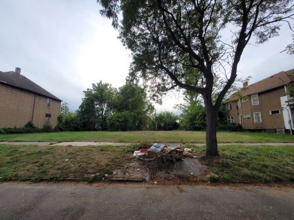 2537 Canton St, Detroit, MI 48207