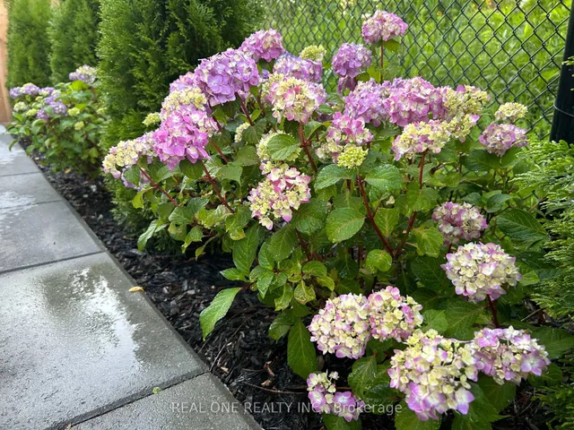 Additional image 46 of 1249 Sweetfern Cres