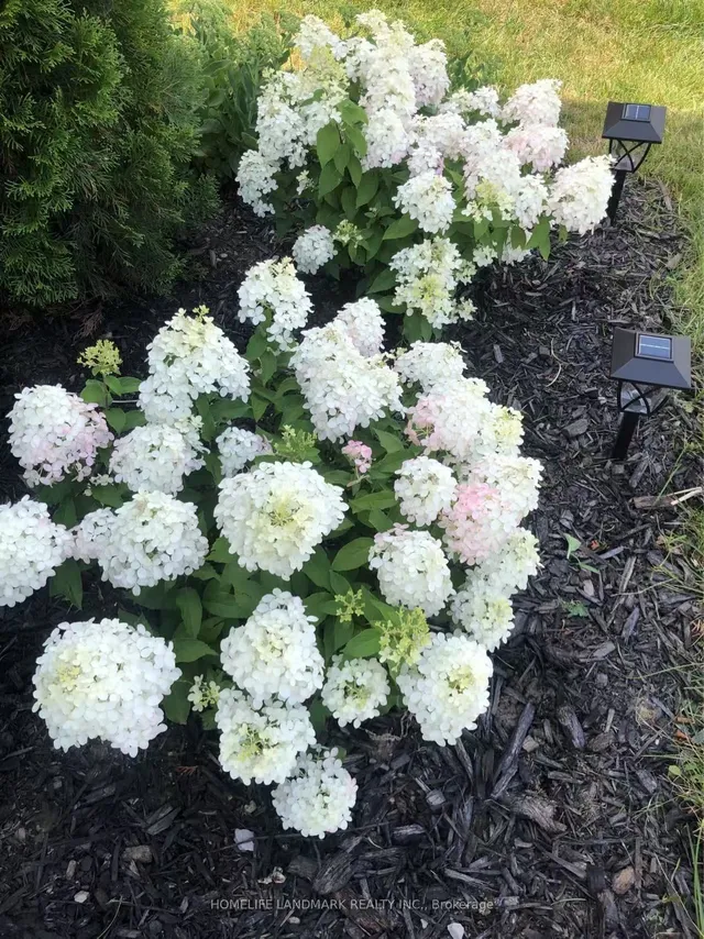 Additional image 21 of 202 West 2nd St