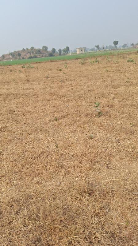 Alwar Mega Highways, Alwar